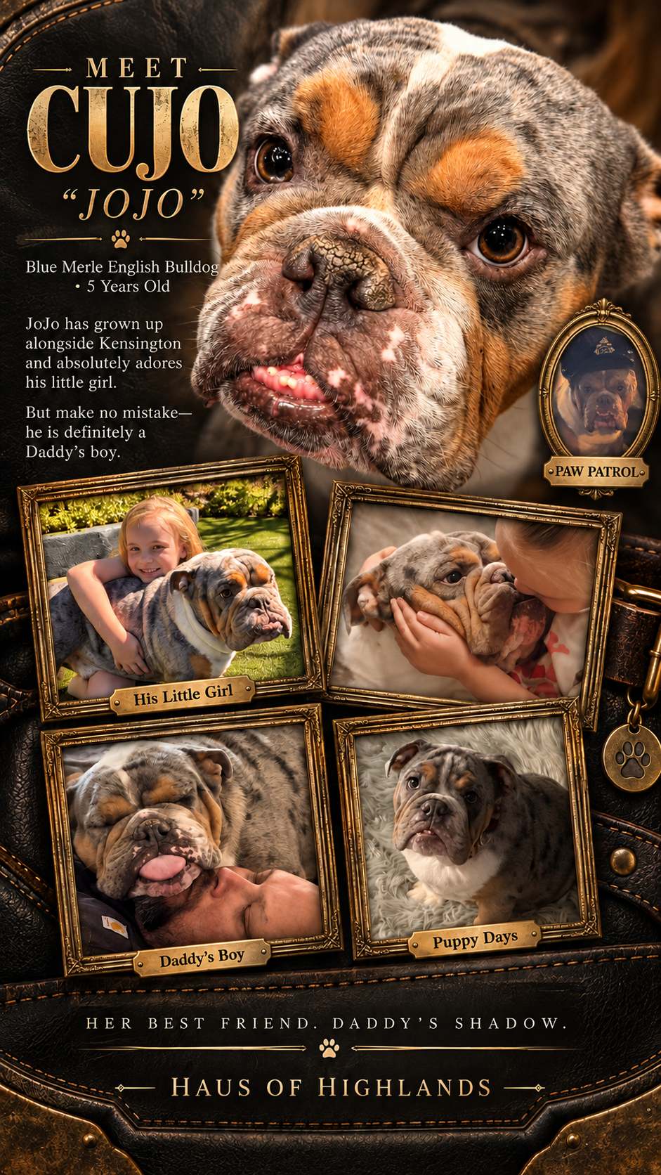 Cujo