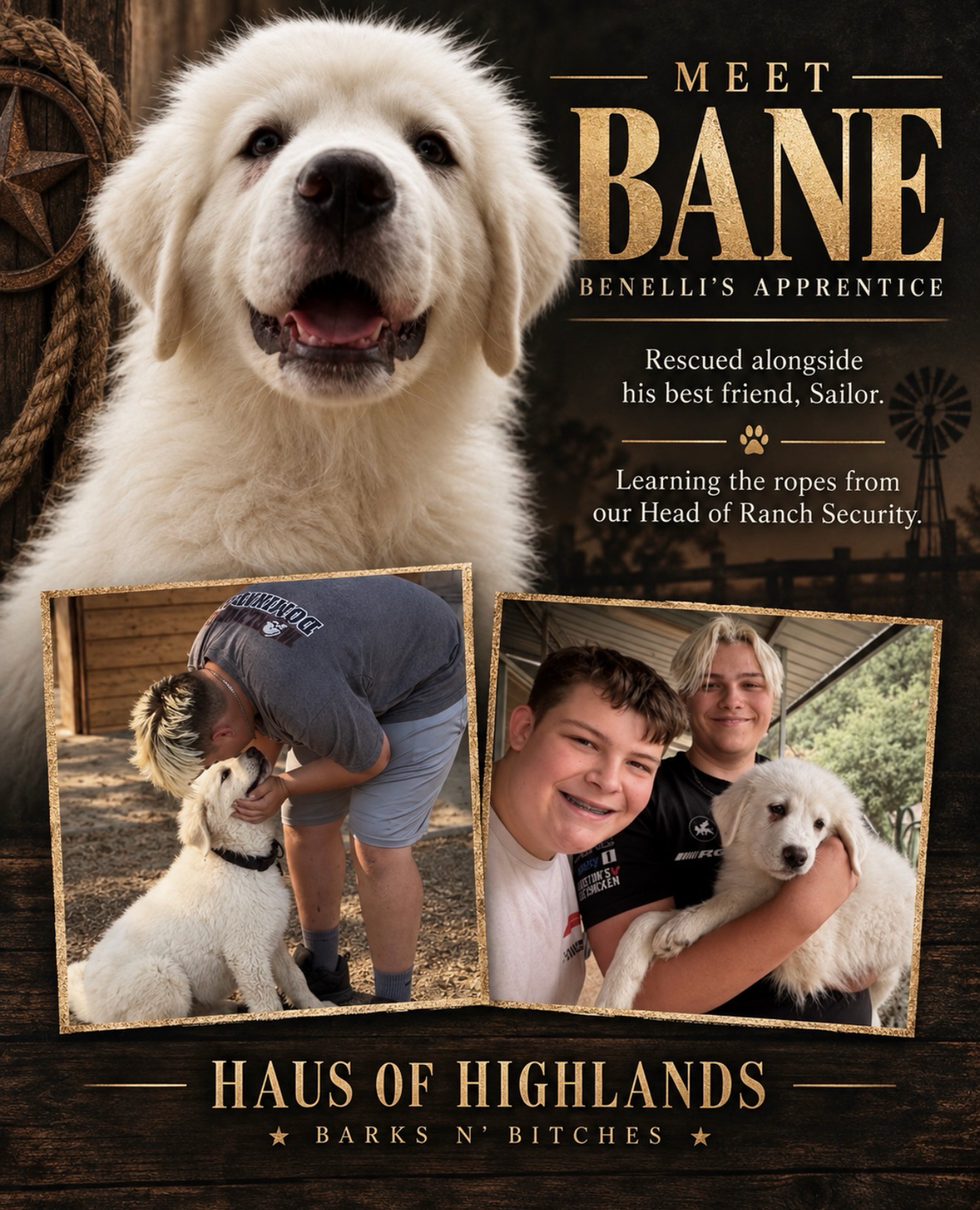 Bane