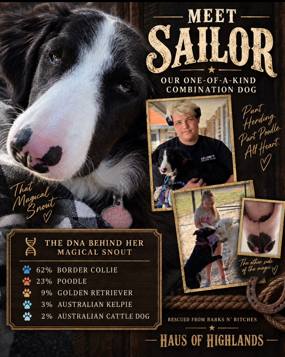 Sailor